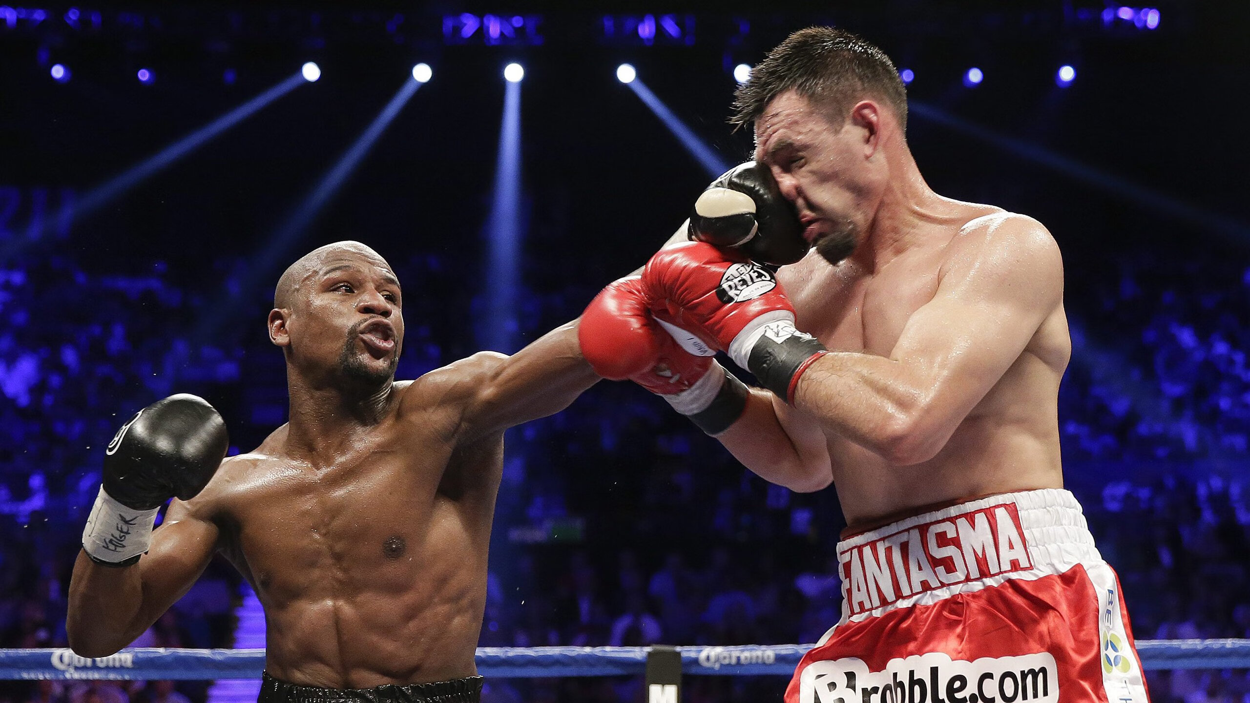 勇士统治赛场CBA季后赛，勇士本赛季